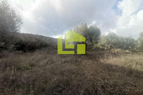 Helårsgrund i Penela, Coimbra, Penela - € 50.000 | Ref: LT1097 - foto 18