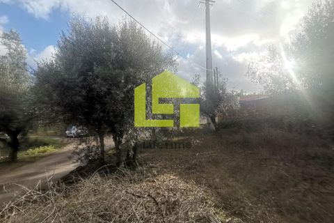 Helårsgrund i Penela, Coimbra, Penela - € 50.000 | Ref: LT1097 - foto 19