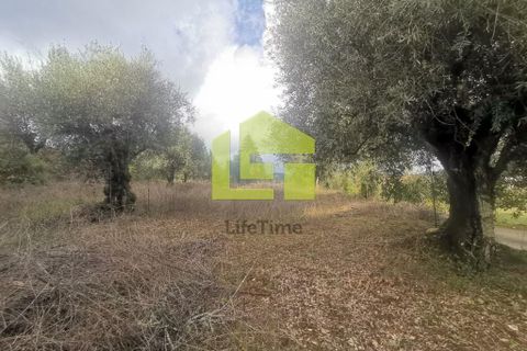Helårsgrund i Penela, Coimbra, Penela - € 50.000 | Ref: LT1097 - foto 20