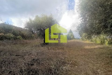 Helårsgrund i Penela, Coimbra, Penela - € 50.000 | Ref: LT1097 - foto 21
