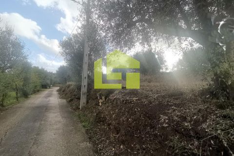 Helårsgrund i Penela, Coimbra, Penela - € 50.000 | Ref: LT1097 - foto 22