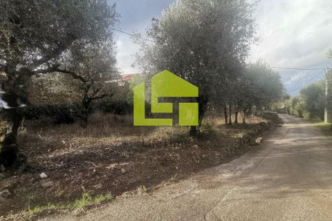 Helårsgrund i Penela, Coimbra, Penela - € 50.000 | Ref: LT1097 - foto 23