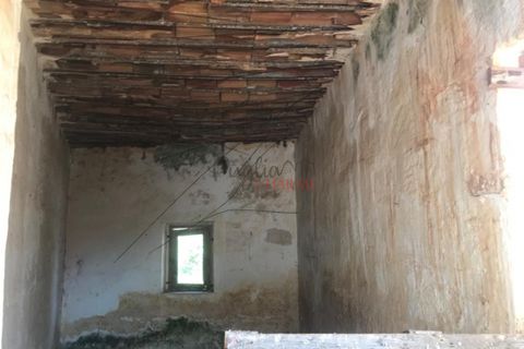 Landejendom i Ostuni, Brindisi, Ostuni - € 1.700.000 | Ref: 130 - foto 29