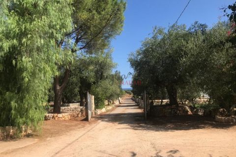 Landejendom i Ostuni, Brindisi, Ostuni - € 1.700.000 | Ref: 130 - foto 10