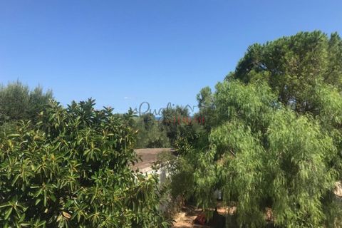 Landejendom i Ostuni, Brindisi, Ostuni - € 1.700.000 | Ref: 130 - foto 8