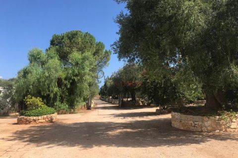 Landejendom i Ostuni, Brindisi, Ostuni - € 1.700.000 | Ref: 130 - foto 9