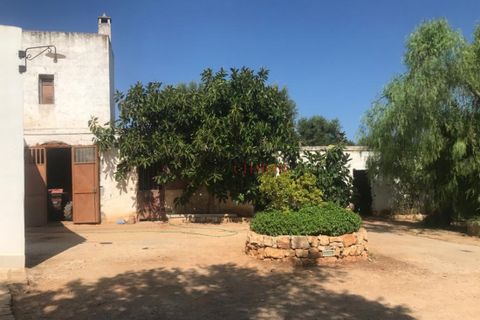 Landejendom i Ostuni, Brindisi, Ostuni - € 1.700.000 | Ref: 130 - foto 5