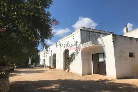 Landejendom i Ostuni, Brindisi, Ostuni - € 1.700.000 | Ref: 130 - foto 4