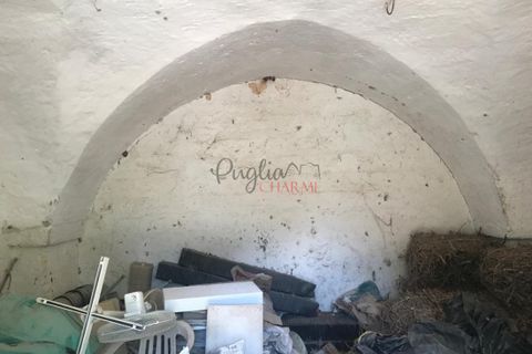 Landejendom i Ostuni, Brindisi, Ostuni - € 1.700.000 | Ref: 130 - foto 27