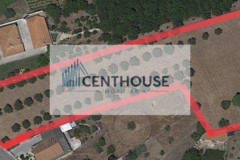 Helårsgrund i Cantanhede, Coimbra, Cantanhede - € 200.000 | Ref: C23025 - foto 2