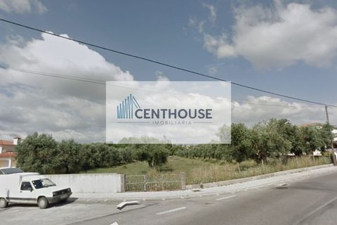 Helårsgrund i Cantanhede, Coimbra, Cantanhede - € 200.000 | Ref: C23025 - foto 3