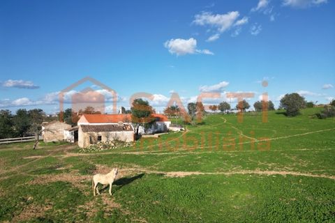 Helårsgrund i Lagoa, Faro, Lagoa - € 1.315.000 | Ref: SAFTI:004027 - foto 7