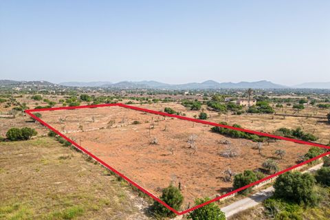 Helårsgrund i Manacor, Mallorca, Manacor - € 299.900 | Ref: JRP1077MC/3010 - foto 1