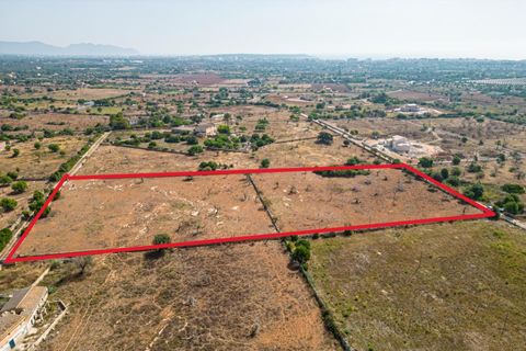 Helårsgrund i Manacor, Mallorca, Manacor - € 299.900 | Ref: JRP1077MC/3010 - foto 2