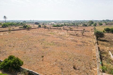 Helårsgrund i Manacor, Mallorca, Manacor - € 299.900 | Ref: JRP1077MC/3010 - foto 3