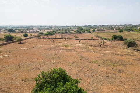 Helårsgrund i Manacor, Mallorca, Manacor - € 299.900 | Ref: JRP1077MC/3010 - foto 7
