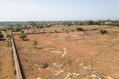 Helårsgrund i Manacor, Mallorca, Manacor - € 299.900 | Ref: JRP1077MC/3010 - foto 8