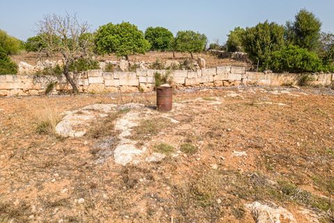 Helårsgrund i Manacor, Mallorca, Manacor - € 299.900 | Ref: JRP1077MC/3010 - foto 10