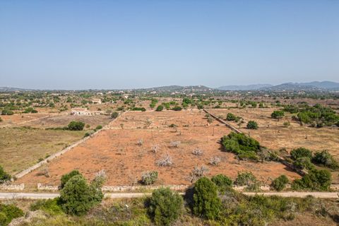 Helårsgrund i Manacor, Mallorca, Manacor - € 299.900 | Ref: JRP1077MC/3010 - foto 12