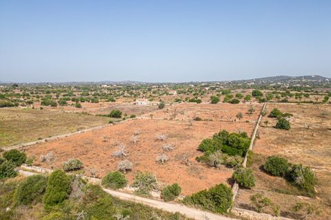 Helårsgrund i Manacor, Mallorca, Manacor - € 299.900 | Ref: JRP1077MC/3010 - foto 13
