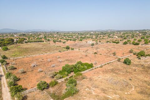 Helårsgrund i Manacor, Mallorca, Manacor - € 299.900 | Ref: JRP1077MC/3010 - foto 14