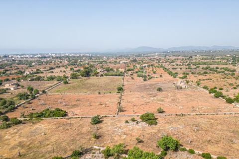 Helårsgrund i Manacor, Mallorca, Manacor - € 299.900 | Ref: JRP1077MC/3010 - foto 15