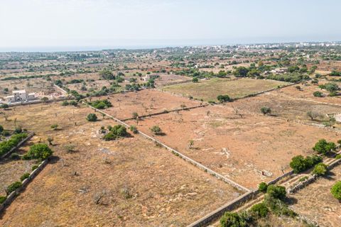 Helårsgrund i Manacor, Mallorca, Manacor - € 299.900 | Ref: JRP1077MC/3010 - foto 16