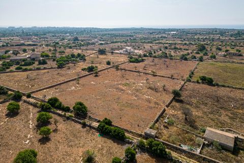 Helårsgrund i Manacor, Mallorca, Manacor - € 299.900 | Ref: JRP1077MC/3010 - foto 17