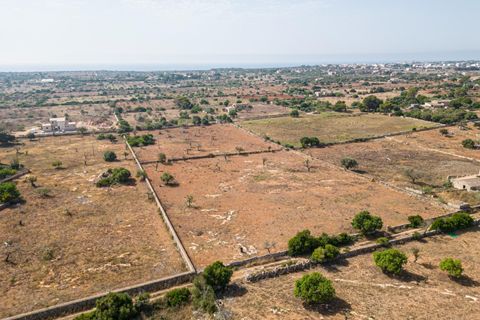Helårsgrund i Manacor, Mallorca, Manacor - € 299.900 | Ref: JRP1077MC/3010 - foto 18