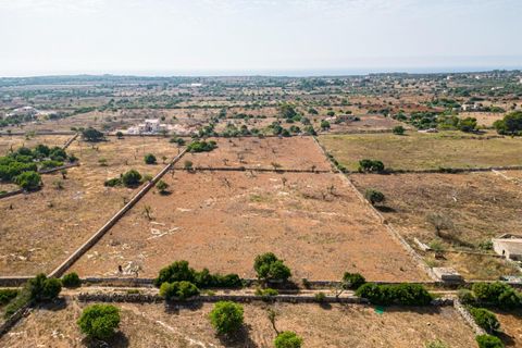 Helårsgrund i Manacor, Mallorca, Manacor - € 299.900 | Ref: JRP1077MC/3010 - foto 19
