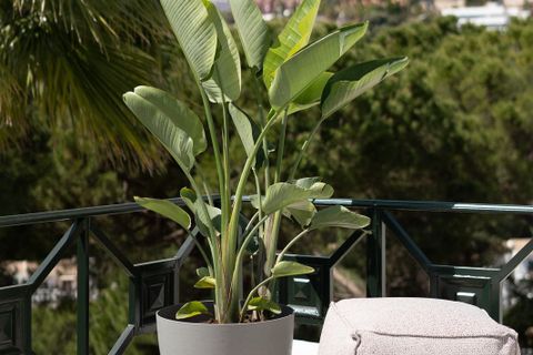 Penthouse i Benahavis, Malaga, Benahavis - € 650.000 | Ref: CP08883 - foto 26