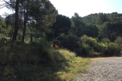 Terra a Sant Marti Vell, Gerona - foto 1