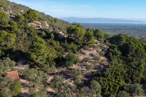 Finca a Mas De Barberans, Tarragona, Mas De Barberans - € 22.000 | Ref: 966 - foto 21