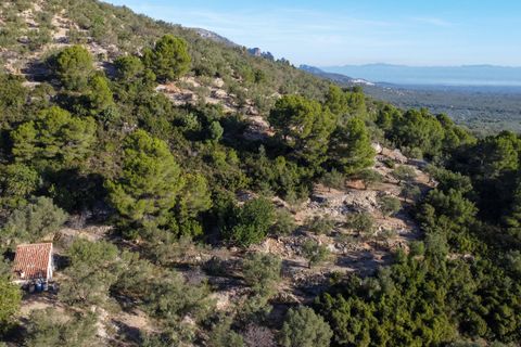 Finca a Mas De Barberans, Tarragona, Mas De Barberans - € 22.000 | Ref: 966 - foto 20