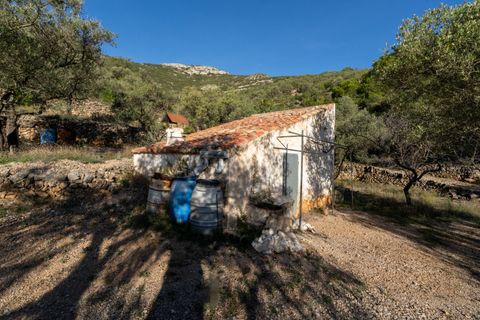 Finca a Mas De Barberans, Tarragona, Mas De Barberans - € 22.000 | Ref: 966 - foto 31