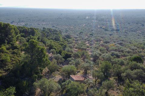 Finca a Mas De Barberans, Tarragona, Mas De Barberans - € 22.000 | Ref: 966 - foto 15