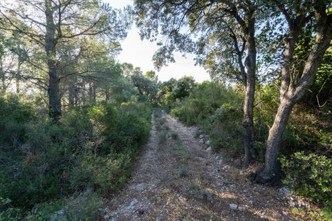 Finca a Mas De Barberans, Tarragona, Mas De Barberans - € 22.000 | Ref: 966 - foto 34