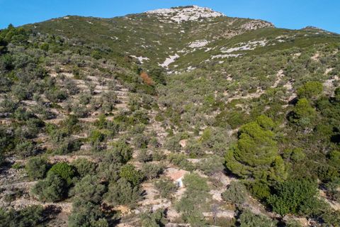 Finca a Mas De Barberans, Tarragona, Mas De Barberans - € 22.000 | Ref: 966 - foto 14