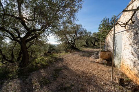 Finca a Mas De Barberans, Tarragona, Mas De Barberans - € 22.000 | Ref: 966 - foto 32