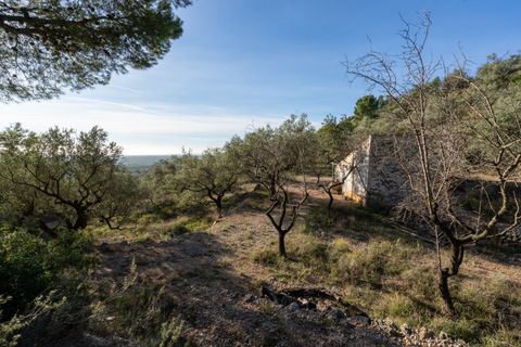 Finca a Mas De Barberans, Tarragona, Mas De Barberans - € 22.000 | Ref: 966 - foto 7