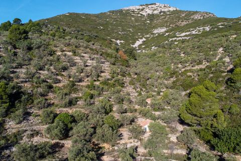 Finca a Mas De Barberans, Tarragona, Mas De Barberans - € 22.000 | Ref: 966 - foto 13
