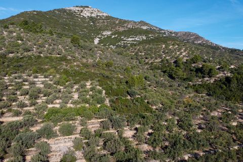 Finca a Mas De Barberans, Tarragona, Mas De Barberans - € 22.000 | Ref: 966 - foto 24