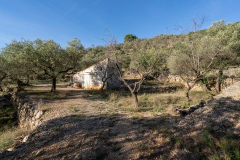 Finca a Mas De Barberans, Tarragona, Mas De Barberans - € 22.000 | Ref: 966 - foto 2