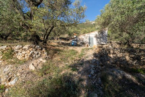 Finca a Mas De Barberans, Tarragona, Mas De Barberans - € 22.000 | Ref: 966 - foto 4