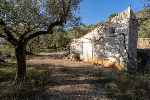 Finca a Mas De Barberans, Tarragona, Mas De Barberans - € 22.000 | Ref: 966 - foto 5