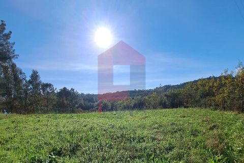 Helårsgrund i Vila Verde, Braga, Vila Verde - € 40.000 | Ref: 08186 - foto 2