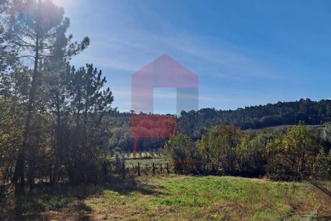 Helårsgrund i Vila Verde, Braga, Vila Verde - € 40.000 | Ref: 08186 - foto 3