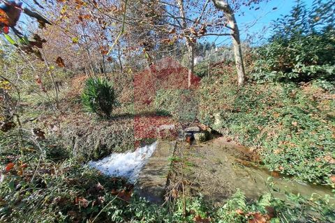 Helårsgrund i Vila Verde, Braga, Vila Verde - € 40.000 | Ref: 08186 - foto 6