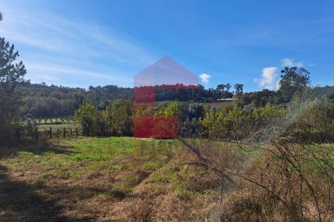 Helårsgrund i Vila Verde, Braga, Vila Verde - € 40.000 | Ref: 08186 - foto 7