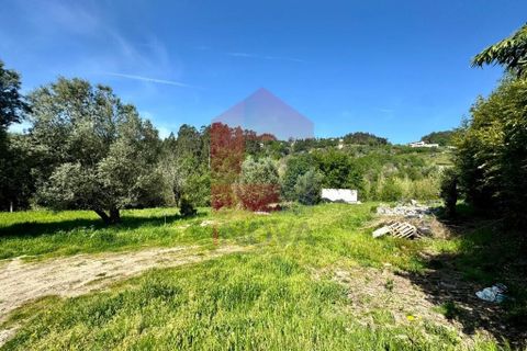 Helårsgrund i Vila Verde, Braga, Vila Verde - € 49.500 | Ref: 08188 - foto 1